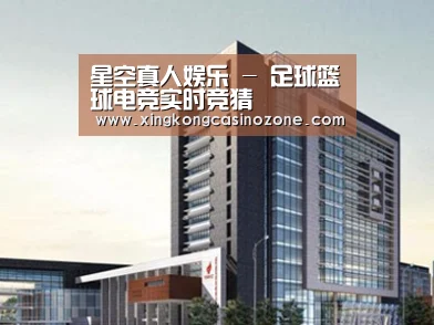 案例展示七