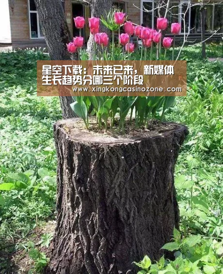 星空下载:未来已来,新媒体生长趋势分哪三个阶段(图1) 星空下载