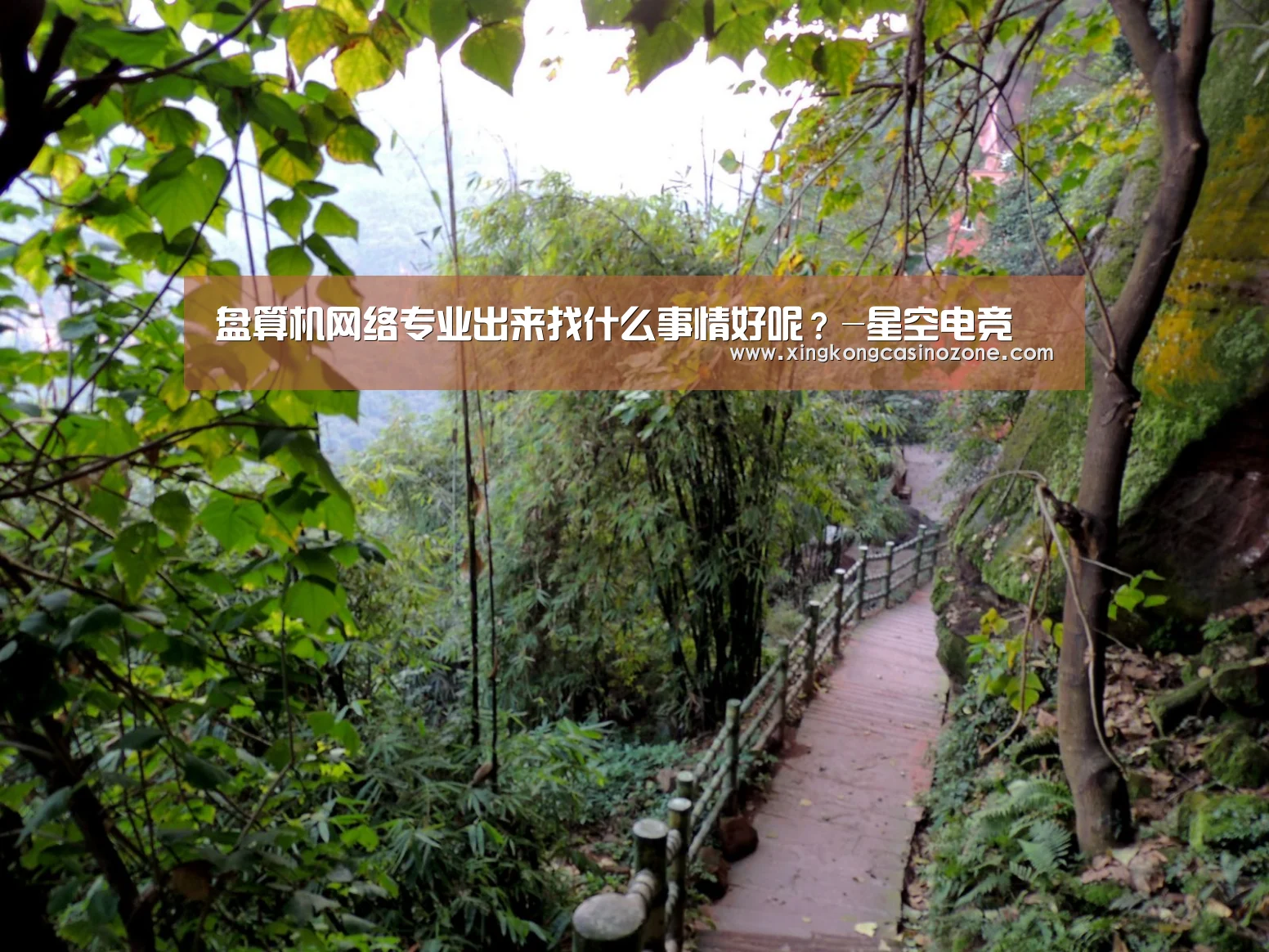 盘算机网络专业出来找什么事情好呢?-星空电竞(图2) 星空官网
