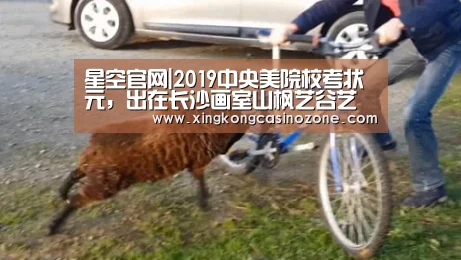 星空官网|2019中央美院校考状元,出在长沙画室山枫艺谷艺术培训学校(图2) 星空官网
