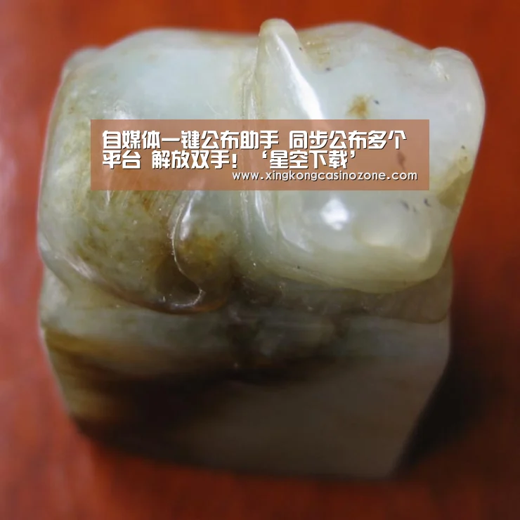 自媒体一键公布助手 同步公布多个平台 解放双手!‘星空下载’(图4) 星空电竞