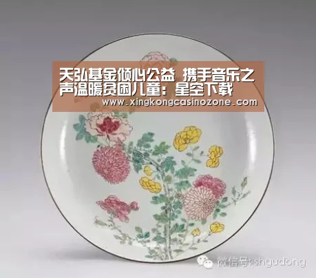 天弘基金倾心公益 携手音乐之声温暖贫困儿童:星空下载(图3) 星空电竞