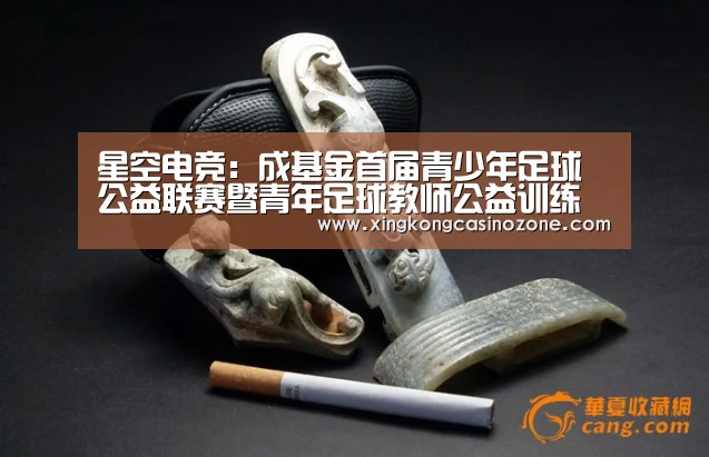 星空电竞:成基金首届青少年足球公益联赛暨青年足球教师公益训练营在长沙结束(图1) 星空电竞