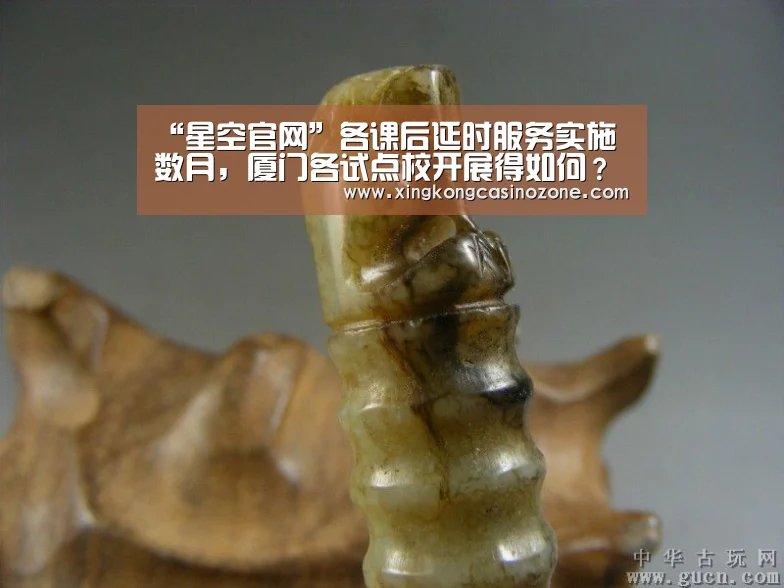 “星空官网”各课后延时服务实施数月,厦门各试点校开展得如何?(图2) 星空下载